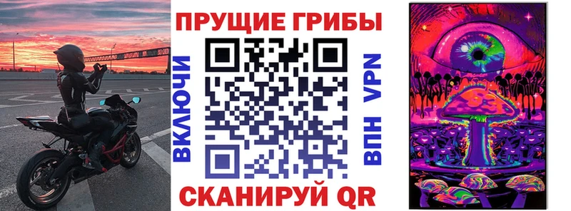 где купить наркоту  Абакан  Псилоцибиновые грибы мухоморы 